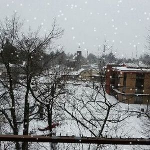 Meet your Posher, Allen